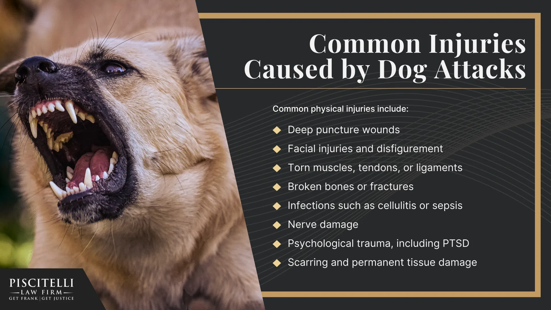 What To Do After a Dog Bite in Cleveland, OH; Common Injuries Caused by Dog Attacks