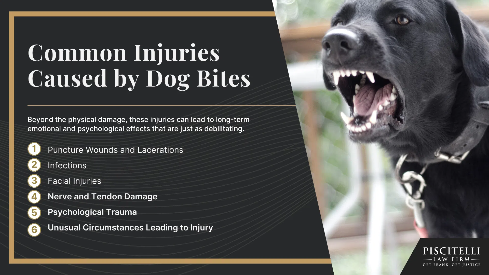 Ohio Dog Bite Laws and Strict Liability; Dog Classifications in Ohio; Legal Rights of Dog Bite Victims Under State Law; Minimum Insurance Requirements in Ohio; Common Injuries Caused by Dog Bites
