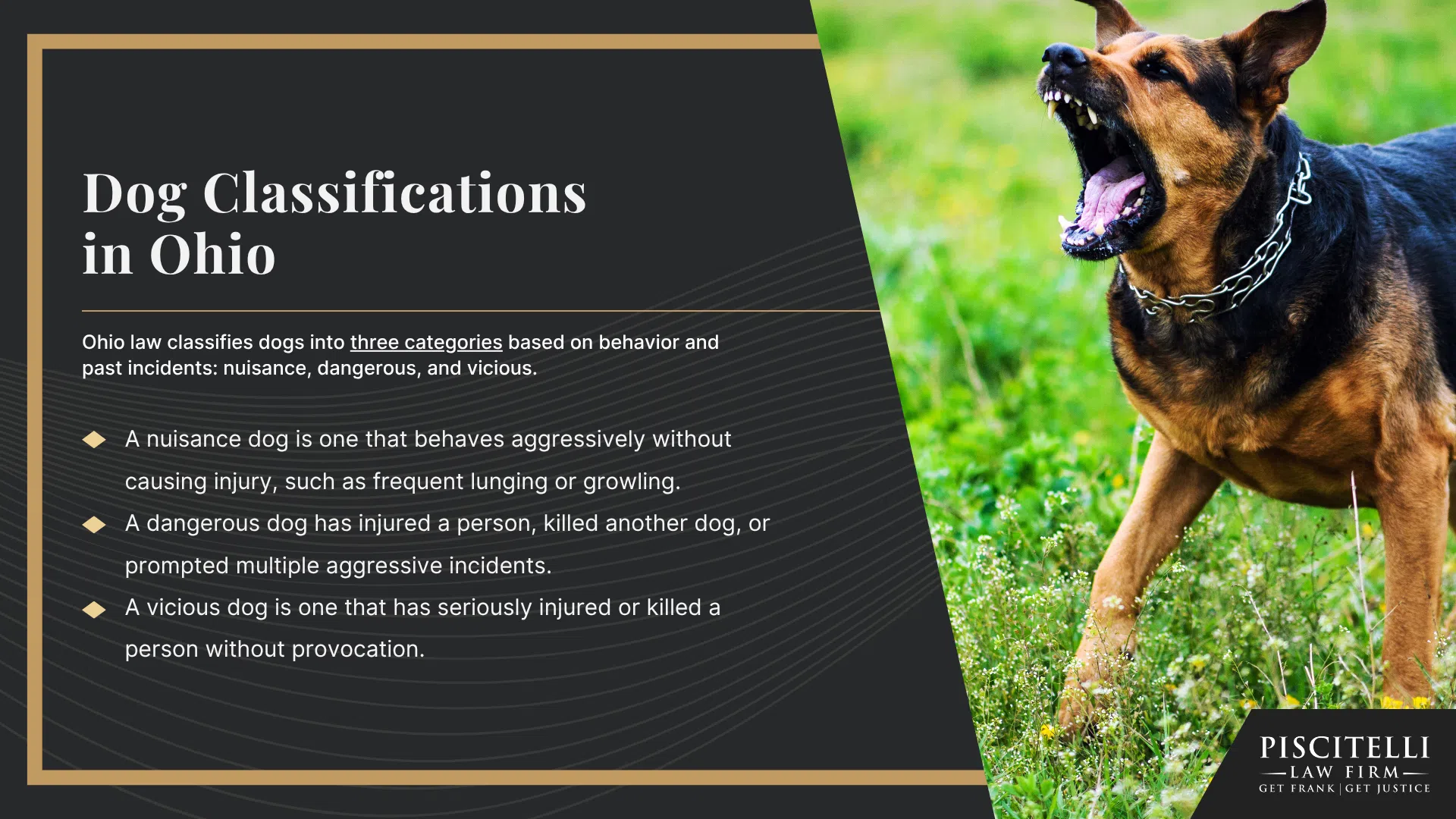 Ohio Dog Bite Laws and Strict Liability; Dog Classifications in Ohio