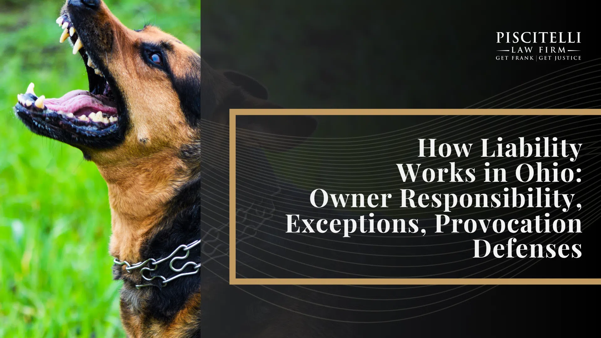 Ohio Dog Bite Laws and Strict Liability; Dog Classifications in Ohio; Legal Rights of Dog Bite Victims Under State Law; Minimum Insurance Requirements in Ohio; Common Injuries Caused by Dog Bites; Who Can Be Held Liable in a Dog Bite Case; How Liability Works in Ohio_ Owner Responsibility, Exceptions, Provocation Defenses