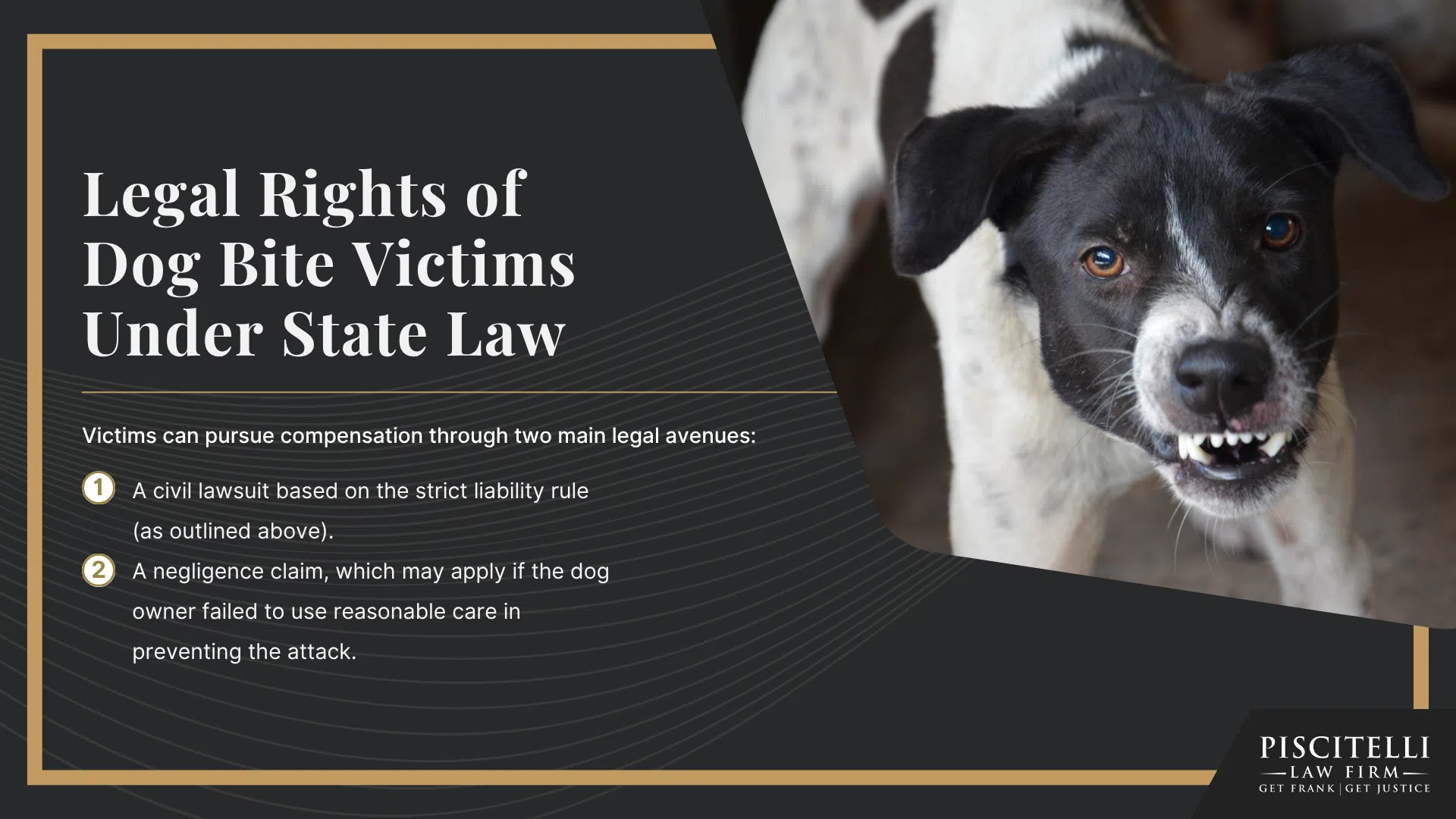 Ohio Dog Bite Laws and Strict Liability; Dog Classifications in Ohio; Legal Rights of Dog Bite Victims Under State Law