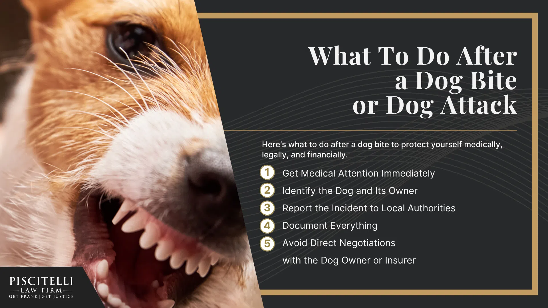 Ohio Dog Bite Laws and Strict Liability; Dog Classifications in Ohio; Legal Rights of Dog Bite Victims Under State Law; Minimum Insurance Requirements in Ohio