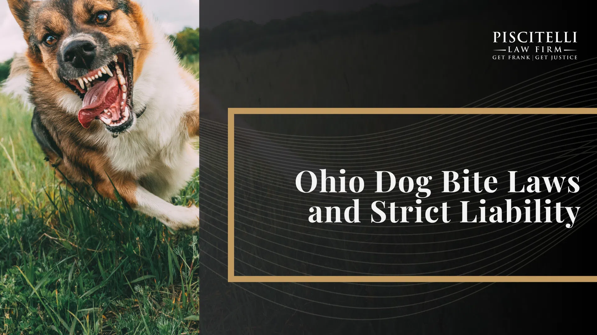 Ohio Dog Bite Laws and Strict Liability