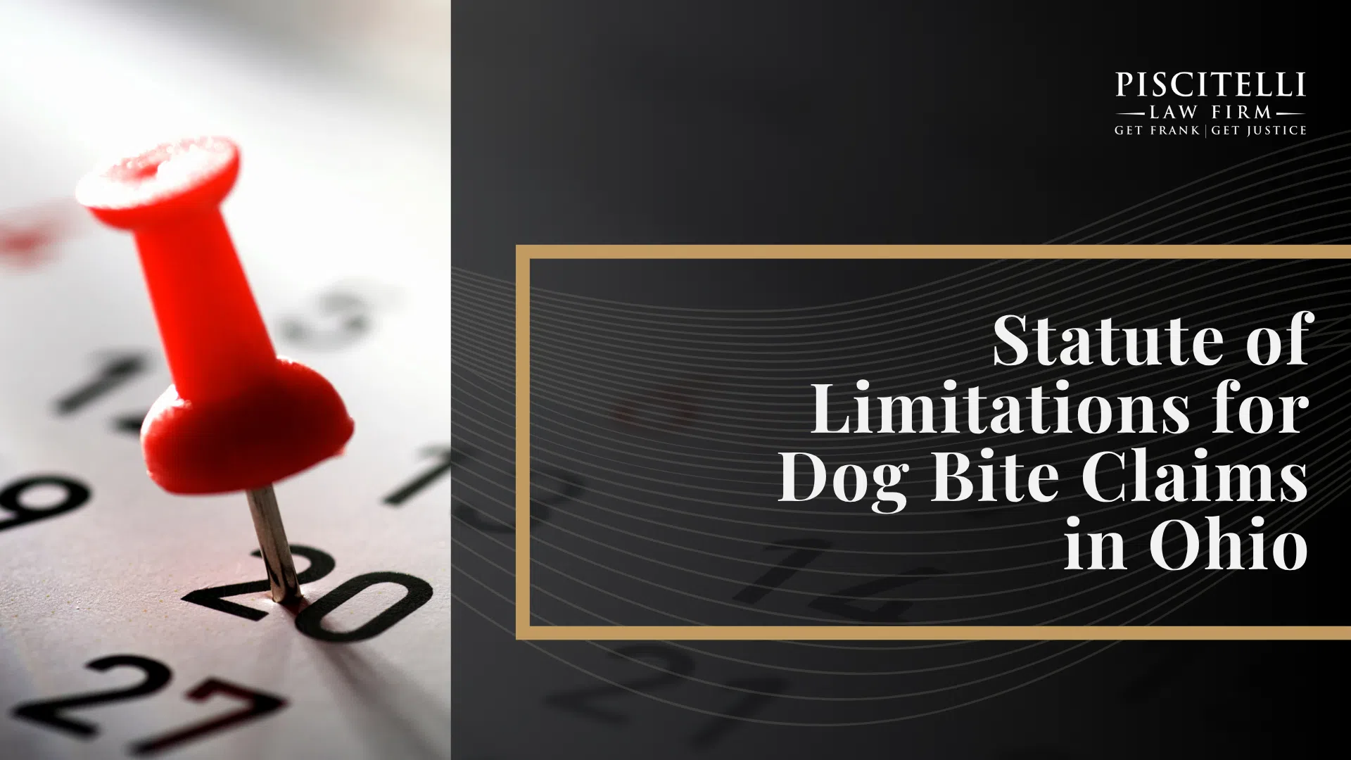 Ohio Dog Bite Laws and Strict Liability; Dog Classifications in Ohio; Legal Rights of Dog Bite Victims Under State Law; Minimum Insurance Requirements in Ohio; Common Injuries Caused by Dog Bites; Who Can Be Held Liable in a Dog Bite Case; How Liability Works in Ohio_ Owner Responsibility, Exceptions, Provocation Defenses; Additional Damages That May Be Recovered; The Process of Filing a Dog Attack Claim or Lawsuit in Ohio; Statute of Limitations for Dog Bite Claims in Ohio