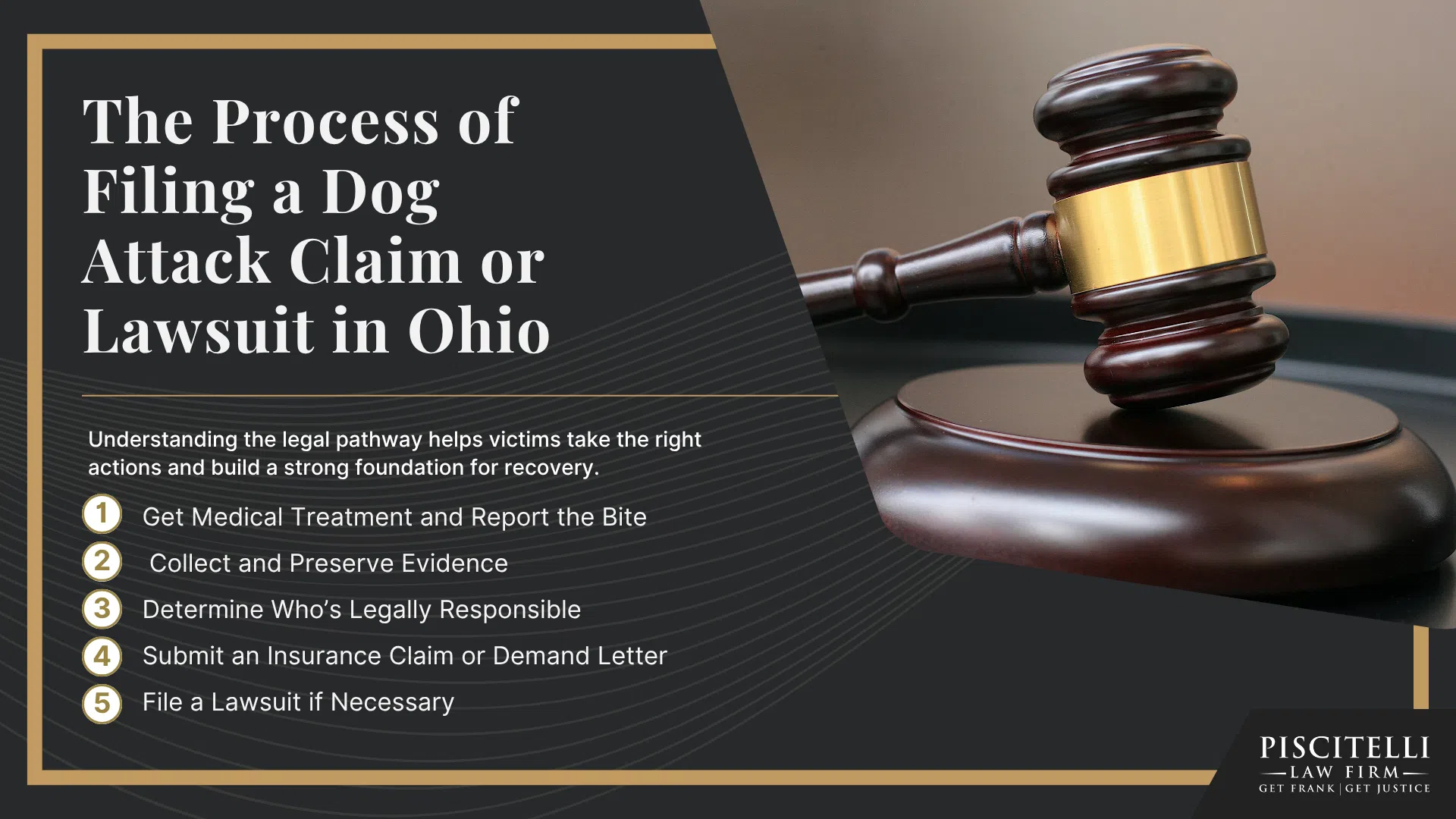 Ohio Dog Bite Laws and Strict Liability; Dog Classifications in Ohio; Legal Rights of Dog Bite Victims Under State Law; Minimum Insurance Requirements in Ohio; Common Injuries Caused by Dog Bites; Who Can Be Held Liable in a Dog Bite Case; How Liability Works in Ohio_ Owner Responsibility, Exceptions, Provocation Defenses; Additional Damages That May Be Recovered; The Process of Filing a Dog Attack Claim or Lawsuit in Ohio