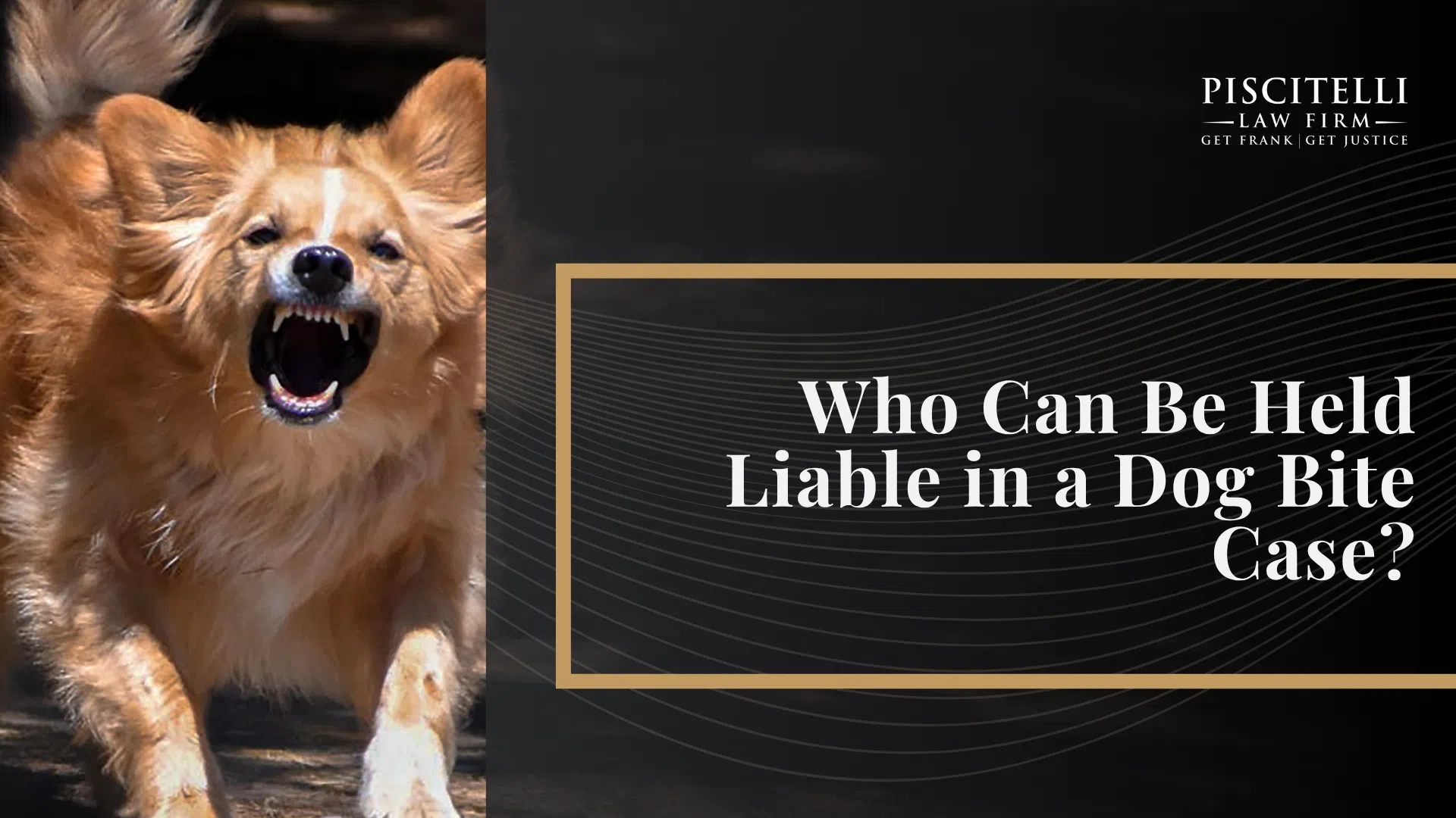 Ohio Dog Bite Laws and Strict Liability; Dog Classifications in Ohio; Legal Rights of Dog Bite Victims Under State Law; Minimum Insurance Requirements in Ohio; Common Injuries Caused by Dog Bites; Who Can Be Held Liable in a Dog Bite Case