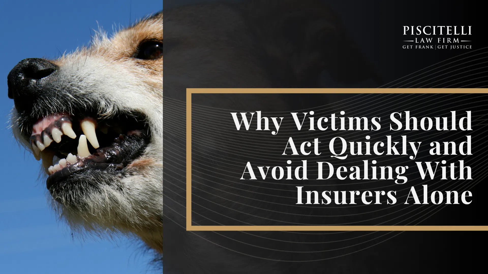 Ohio Dog Bite Laws and Strict Liability; Dog Classifications in Ohio; Legal Rights of Dog Bite Victims Under State Law; Minimum Insurance Requirements in Ohio; Common Injuries Caused by Dog Bites; Who Can Be Held Liable in a Dog Bite Case; How Liability Works in Ohio_ Owner Responsibility, Exceptions, Provocation Defenses; Additional Damages That May Be Recovered; The Process of Filing a Dog Attack Claim or Lawsuit in Ohio; Statute of Limitations for Dog Bite Claims in Ohio; How a Dog Bite Lawyer Can Help With Your Case; Why Victims Should Act Quickly and Avoid Dealing With Insurers Alone