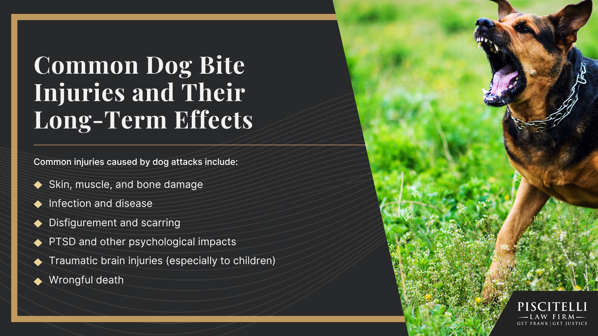 What To Do After a Dog Bite in Ohio; Understanding Ohio Dog Bite Law; Common Dog Bite Injuries and Their Long-Term Effects