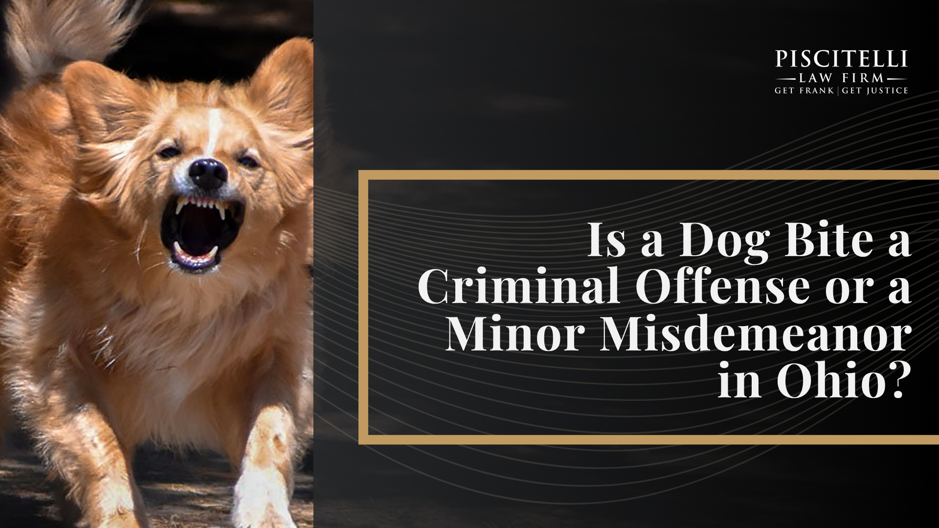 What To Do After a Dog Bite in Ohio; Understanding Ohio Dog Bite Law; Common Dog Bite Injuries and Their Long-Term Effects; Is a Dog Bite a Criminal Offense or a Minor Misdemeanor in Ohio