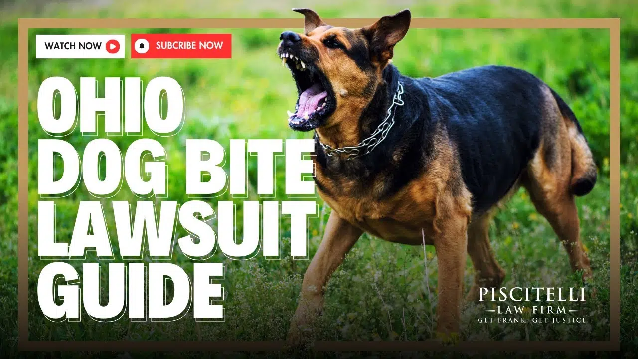 Ohio Dog Bite Lawyer Explains Process of an Animal Attack Lawsuit YouTube Thumbnail