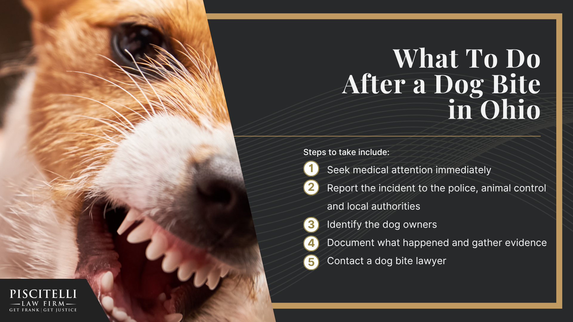 What To Do After a Dog Bite in Ohio