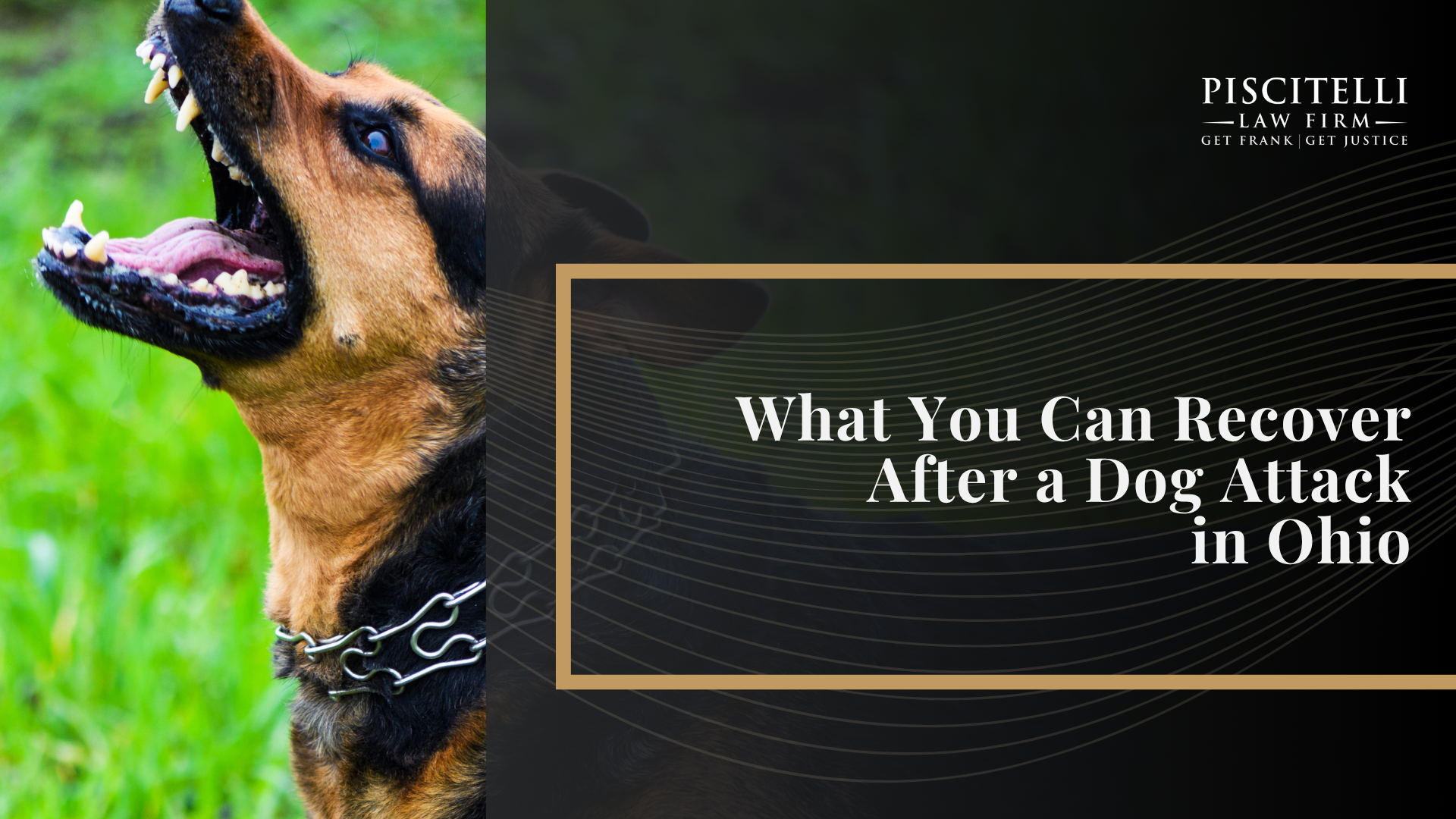 What To Do After a Dog Bite in Ohio; Understanding Ohio Dog Bite Law; Common Dog Bite Injuries and Their Long-Term Effects; Is a Dog Bite a Criminal Offense or a Minor Misdemeanor in Ohio; What You Can Recover After a Dog Attack in Ohio 