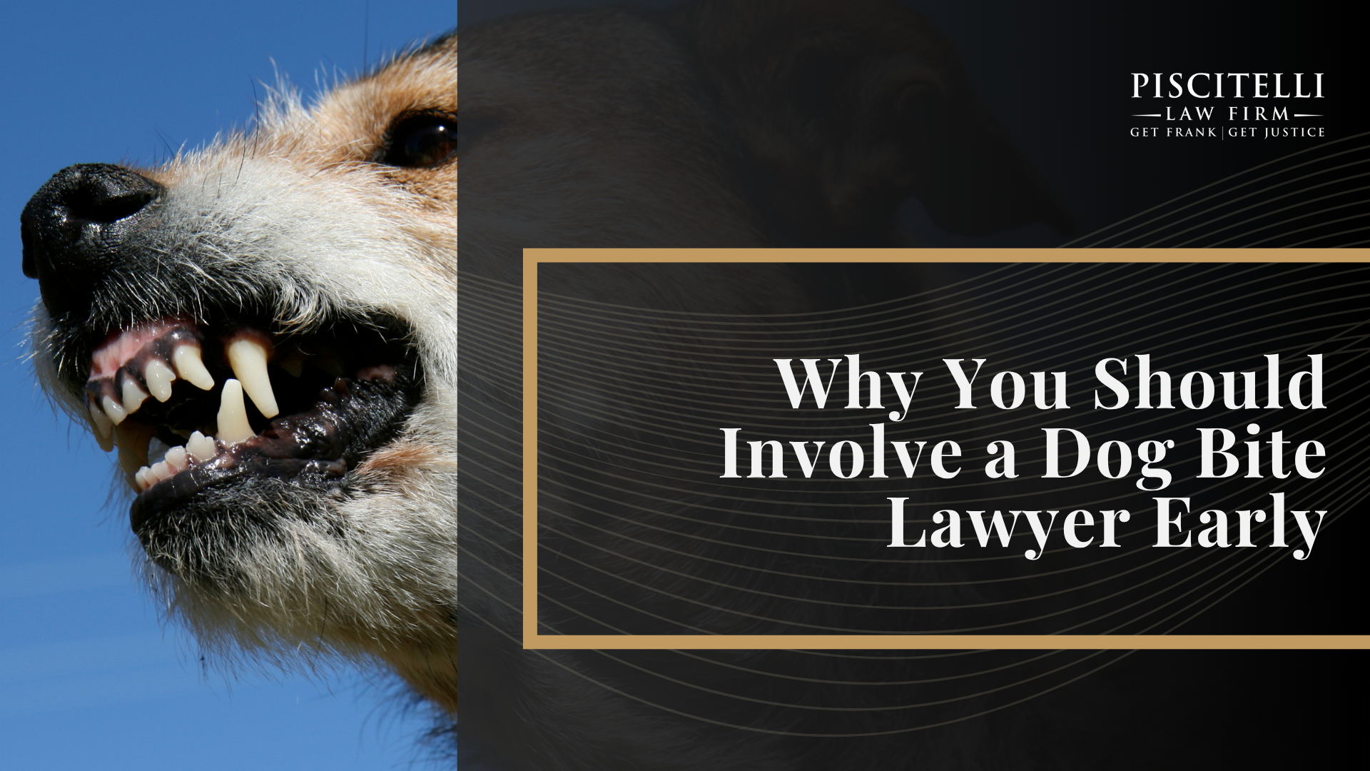 What To Do After a Dog Bite in Ohio; Understanding Ohio Dog Bite Law; Common Dog Bite Injuries and Their Long-Term Effects; Is a Dog Bite a Criminal Offense or a Minor Misdemeanor in Ohio; What You Can Recover After a Dog Attack in Ohio; How To Report and Document a Dog Bite in Ohio; Why You Should Involve a Dog Bite Lawyer Early