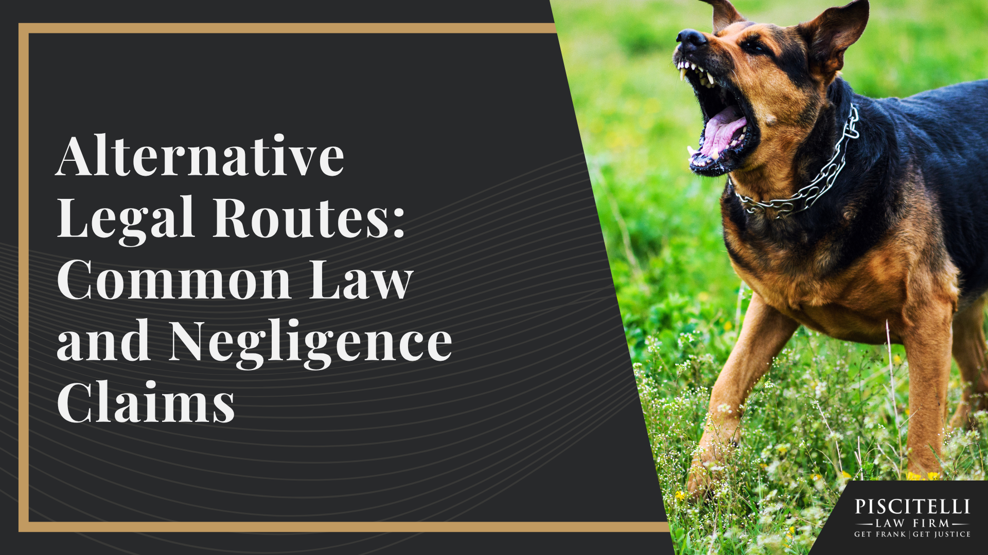 Understanding Ohio’s Dog Bite Statute; Why It’s Harder to Protect Evidence in Truck Accident Cases; Defenses and Exceptions Under Ohio Law; Alternative Legal Routes_ Common Law and Negligence Claims