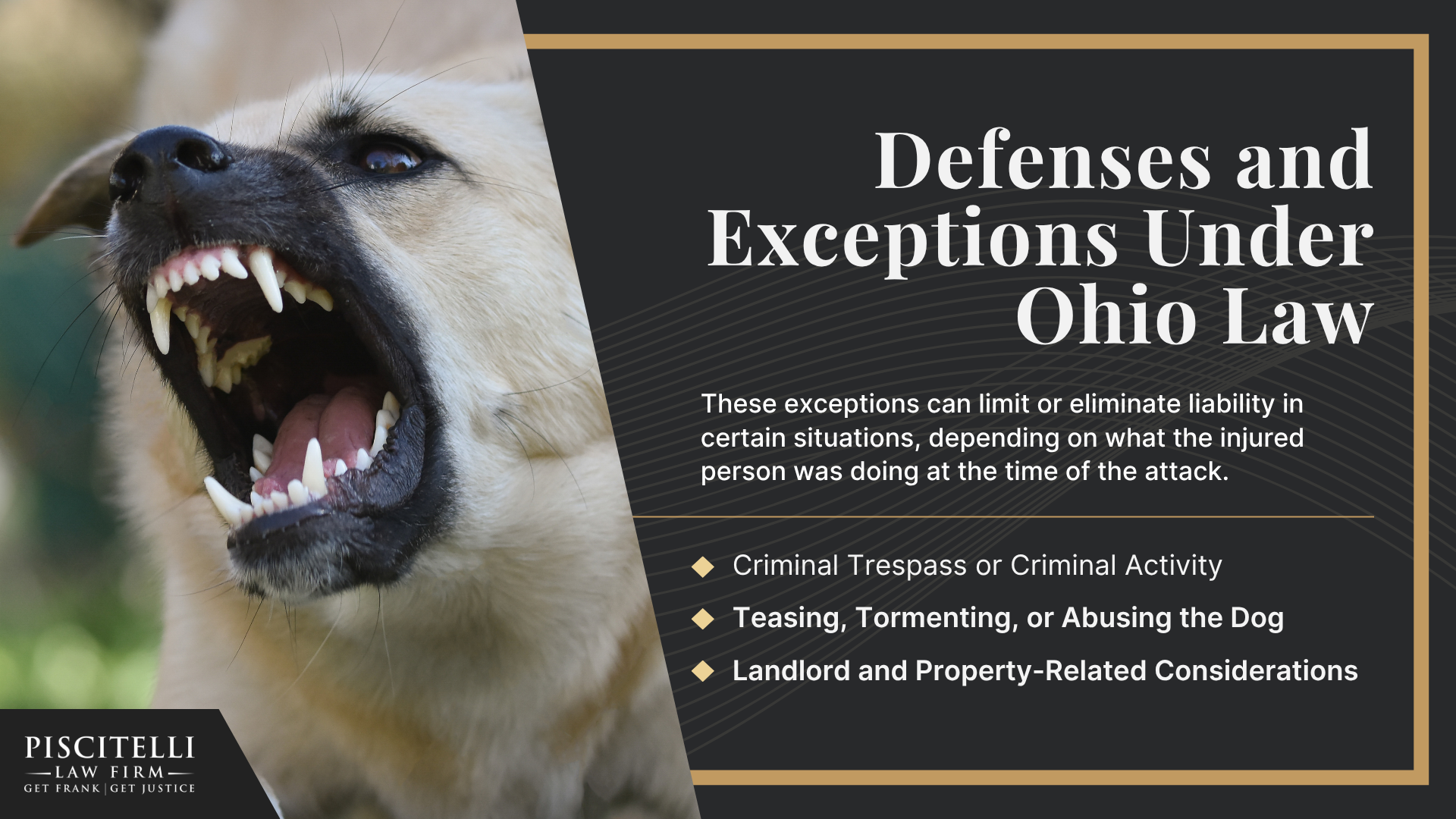 Understanding Ohio’s Dog Bite Statute; Why It’s Harder to Protect Evidence in Truck Accident Cases; Defenses and Exceptions Under Ohio Law