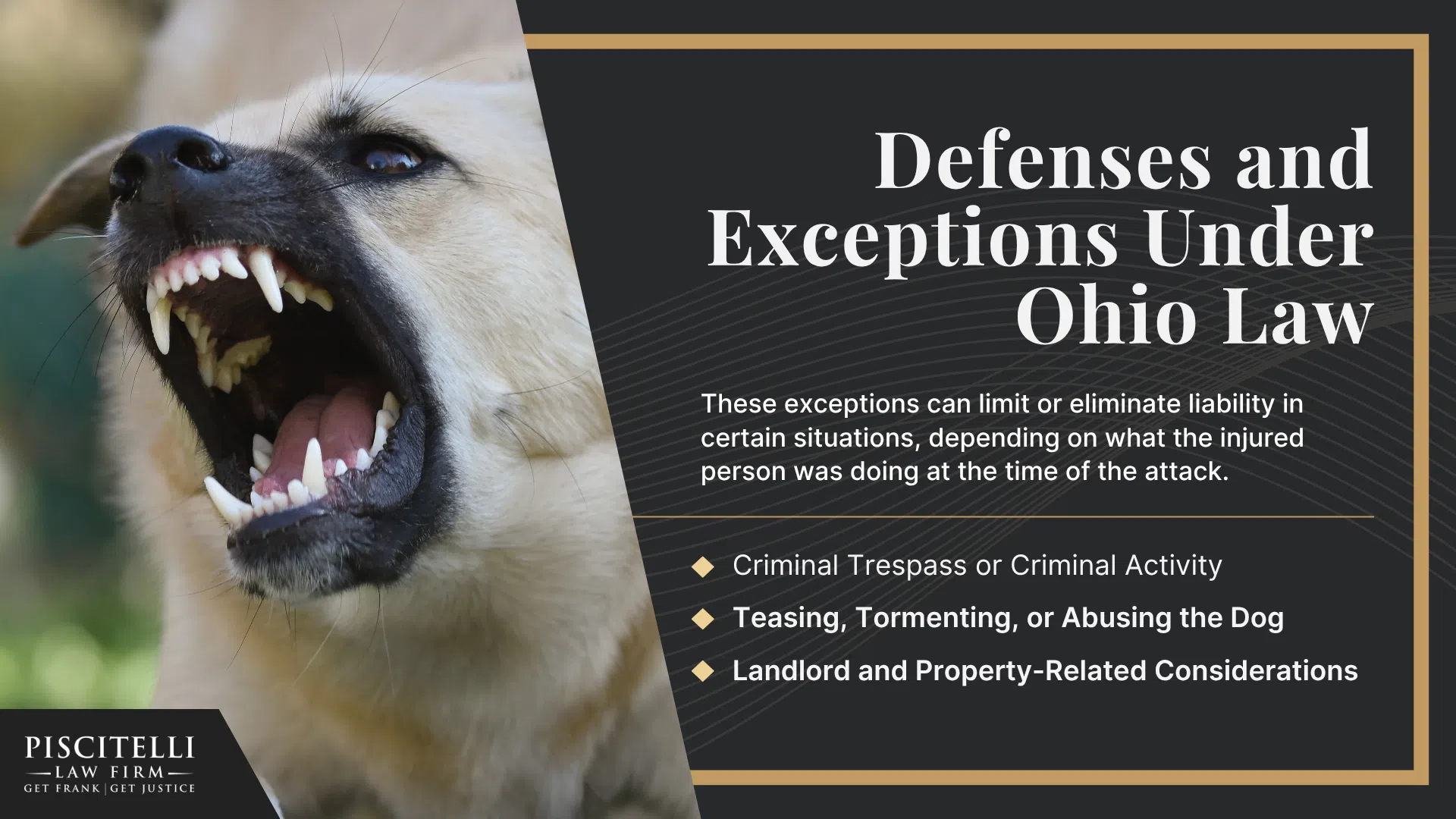 Understanding Ohio’s Dog Bite Statute; Why It’s Harder to Protect Evidence in Truck Accident Cases; Defenses and Exceptions Under Ohio Law