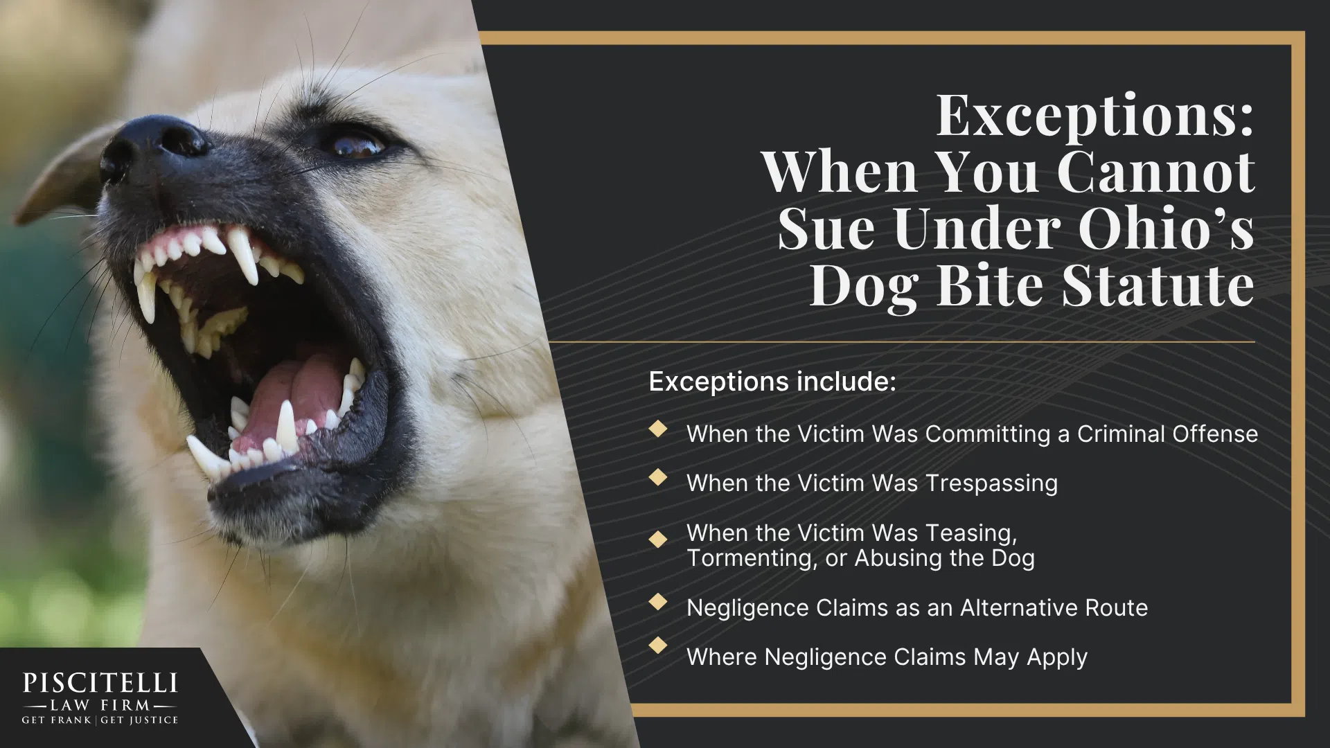 Ohio’s Dog Bite Statute_ When Legal Liability Arises; Scenarios in Which a Victim Can Sue or File a Dog Bite Lawsuit; When the Dog Bites or Attacks Someone on Public Property; How a Dog Bite Lawyer Helps