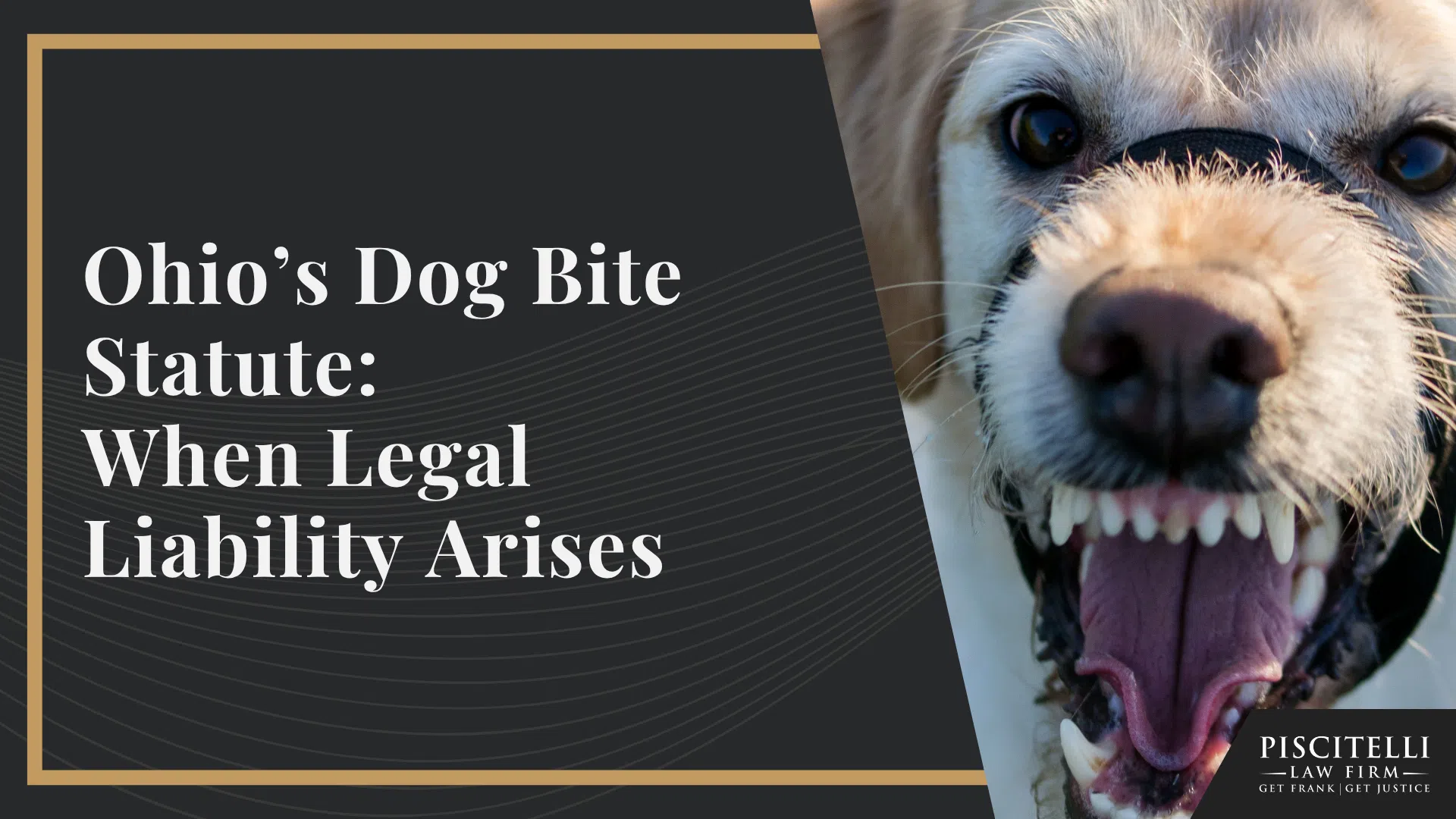 Ohio’s Dog Bite Statute_ When Legal Liability Arises