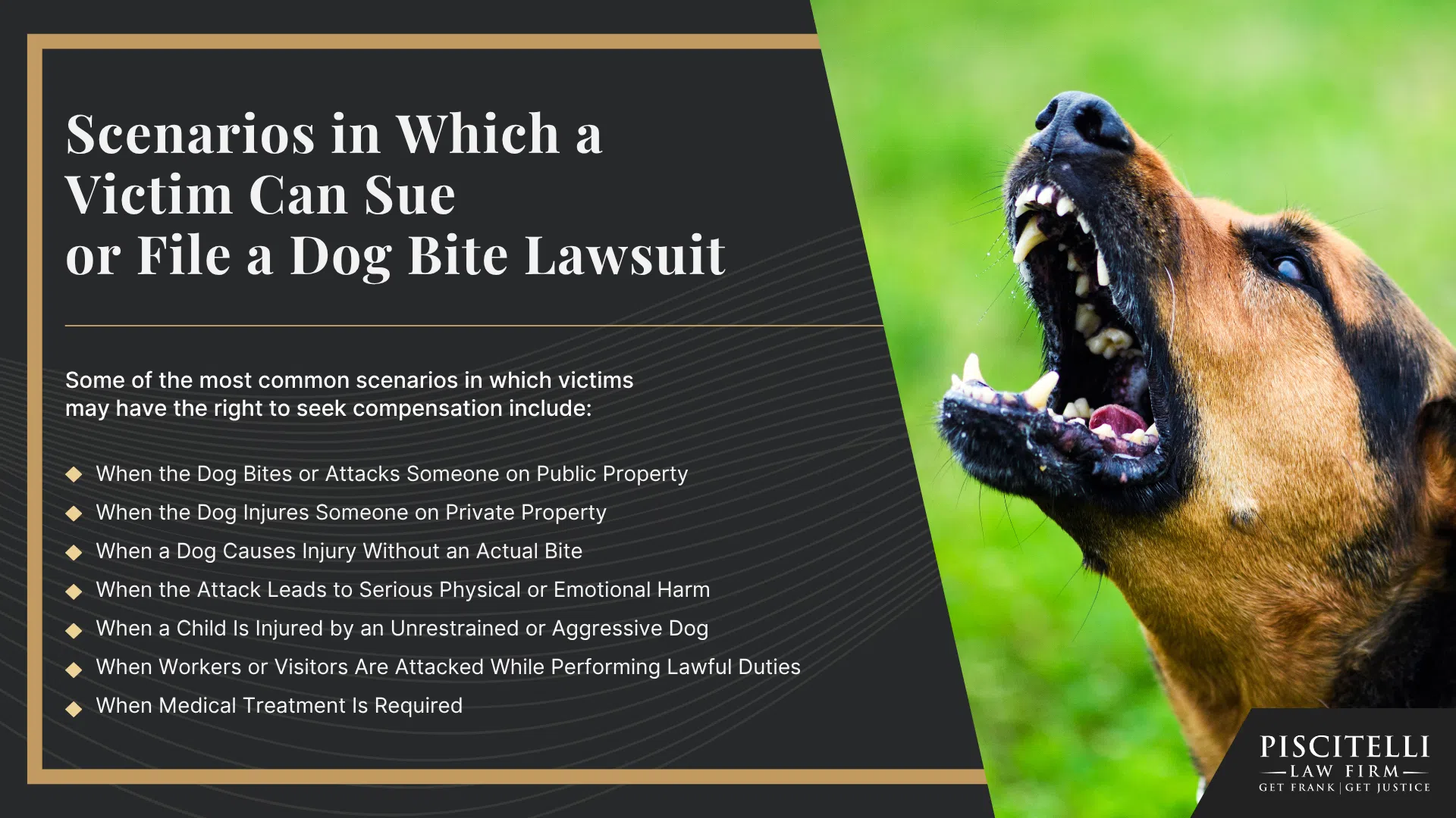 Ohio’s Dog Bite Statute_ When Legal Liability Arises; Scenarios in Which a Victim Can Sue or File a Dog Bite Lawsuit