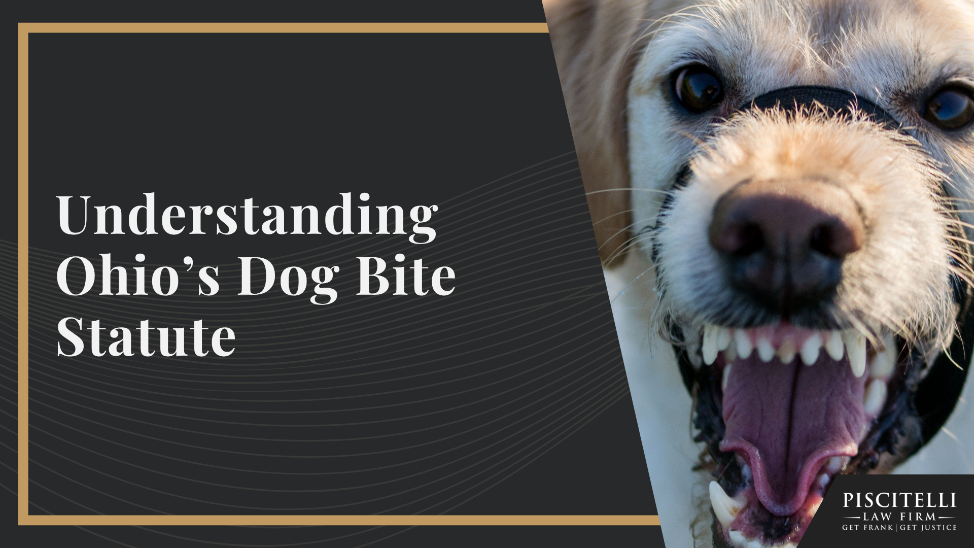 Understanding Ohio’s Dog Bite Statute