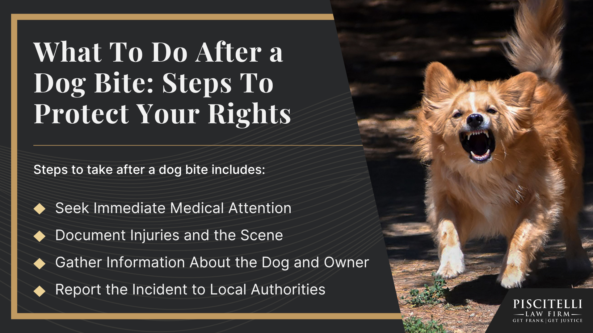 Understanding Ohio’s Dog Bite Statute; Why It’s Harder to Protect Evidence in Truck Accident Cases; Defenses and Exceptions Under Ohio Law; Alternative Legal Routes_ Common Law and Negligence Claims; What Victims Can Recover_ Possible Damages for a Dog Bite Case; Medical Expenses and Ongoing Treatment; What To Do After a Dog Bite Steps To Protect Your Rights