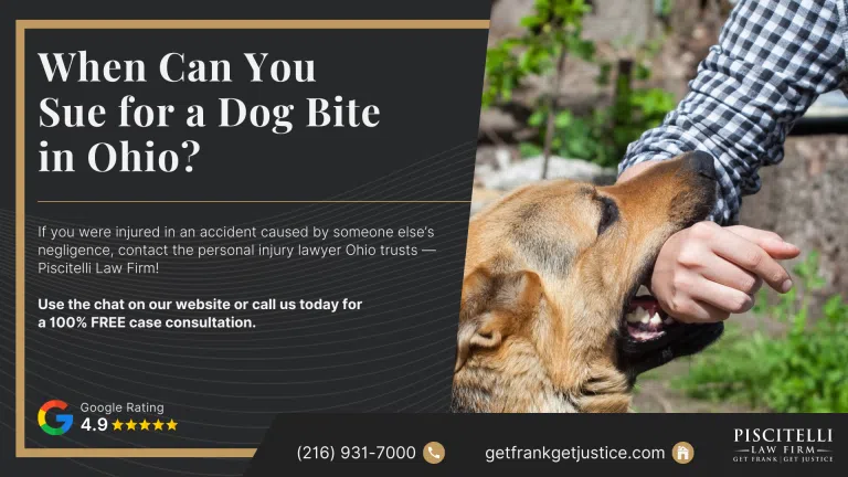 When Can You Sue for a Dog Bite in Ohio