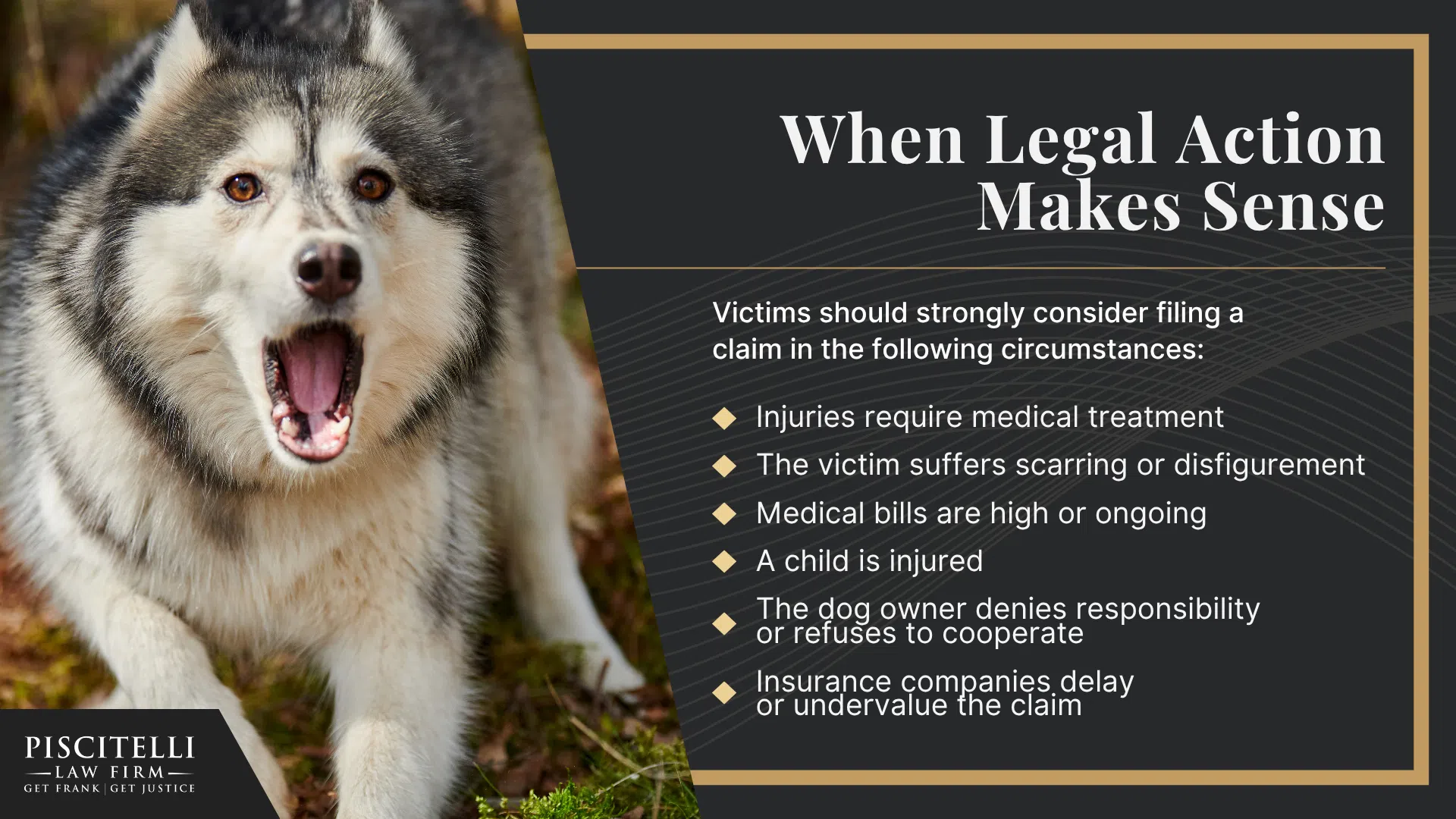 Ohio’s Dog Bite Statute_ When Legal Liability Arises; Scenarios in Which a Victim Can Sue or File a Dog Bite Lawsuit; When the Dog Bites or Attacks Someone on Public Property; How a Dog Bite Lawyer Helps; When Legal Action Makes Sense