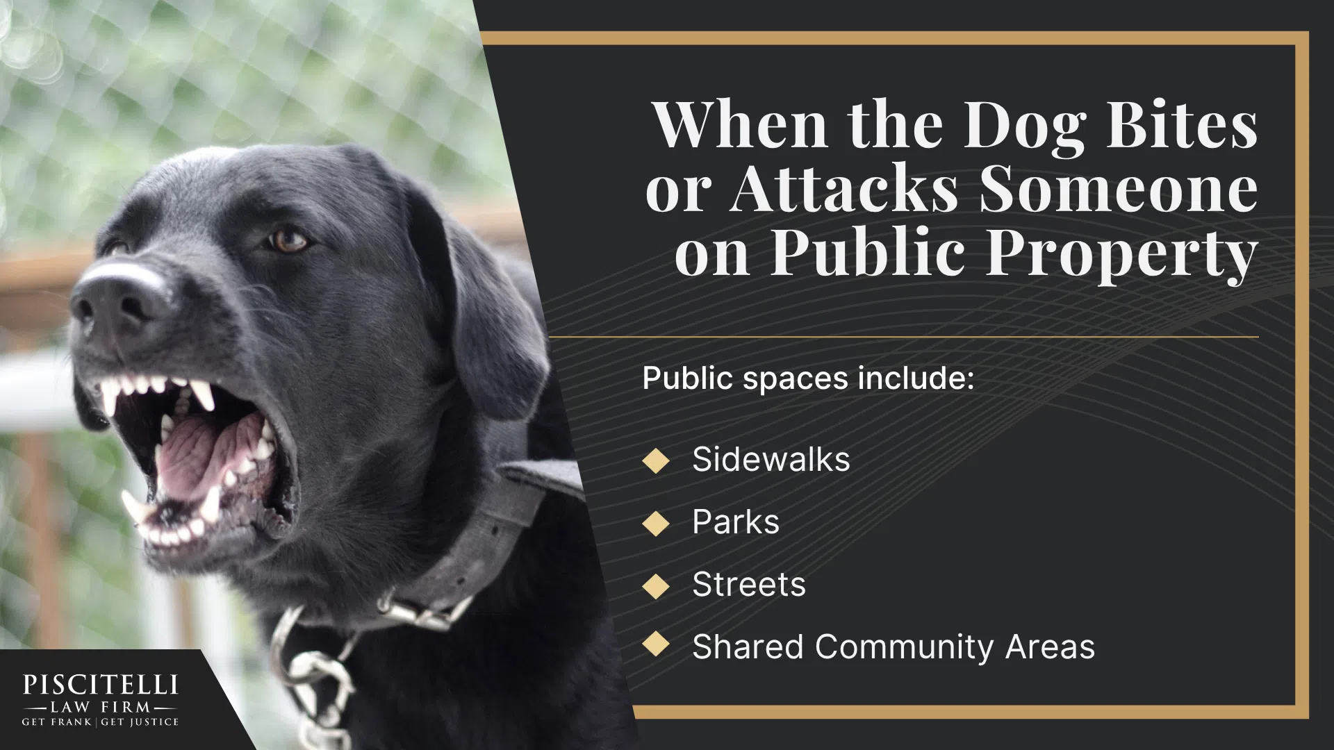 Ohio’s Dog Bite Statute_ When Legal Liability Arises; Scenarios in Which a Victim Can Sue or File a Dog Bite Lawsuit; When the Dog Bites or Attacks Someone on Public Property