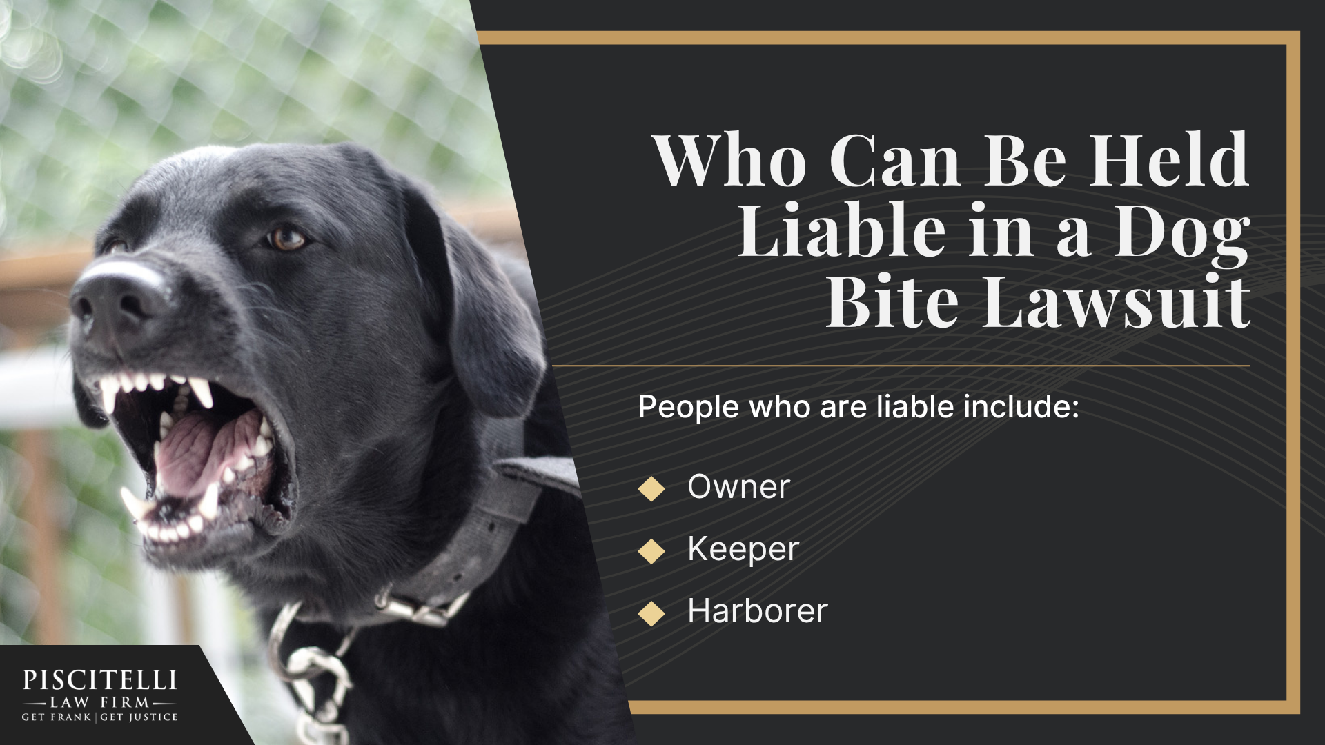 Understanding Ohio’s Dog Bite Statute; Why It’s Harder to Protect Evidence in Truck Accident Cases