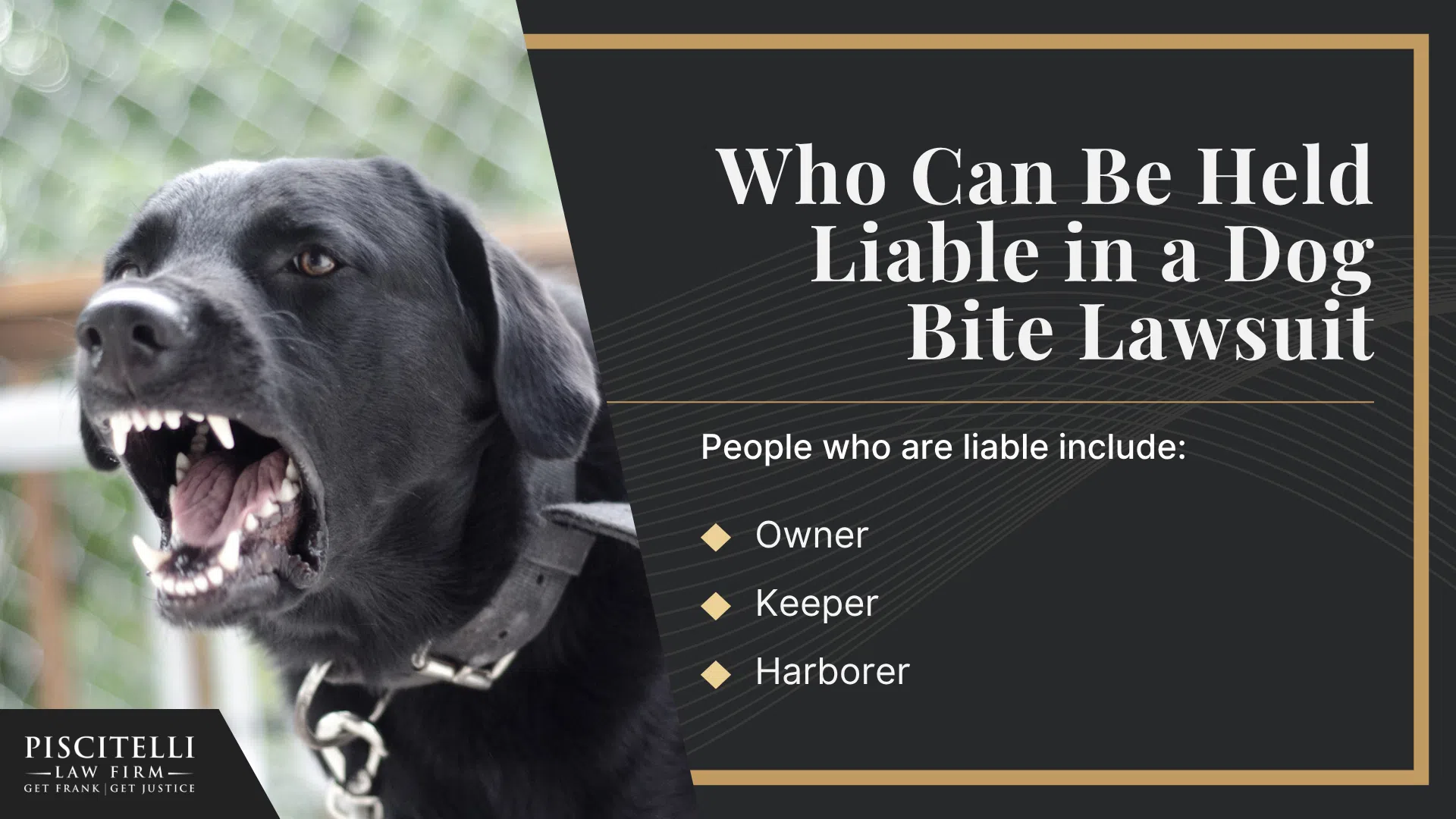 Understanding Ohio’s Dog Bite Statute; Why It’s Harder to Protect Evidence in Truck Accident Cases