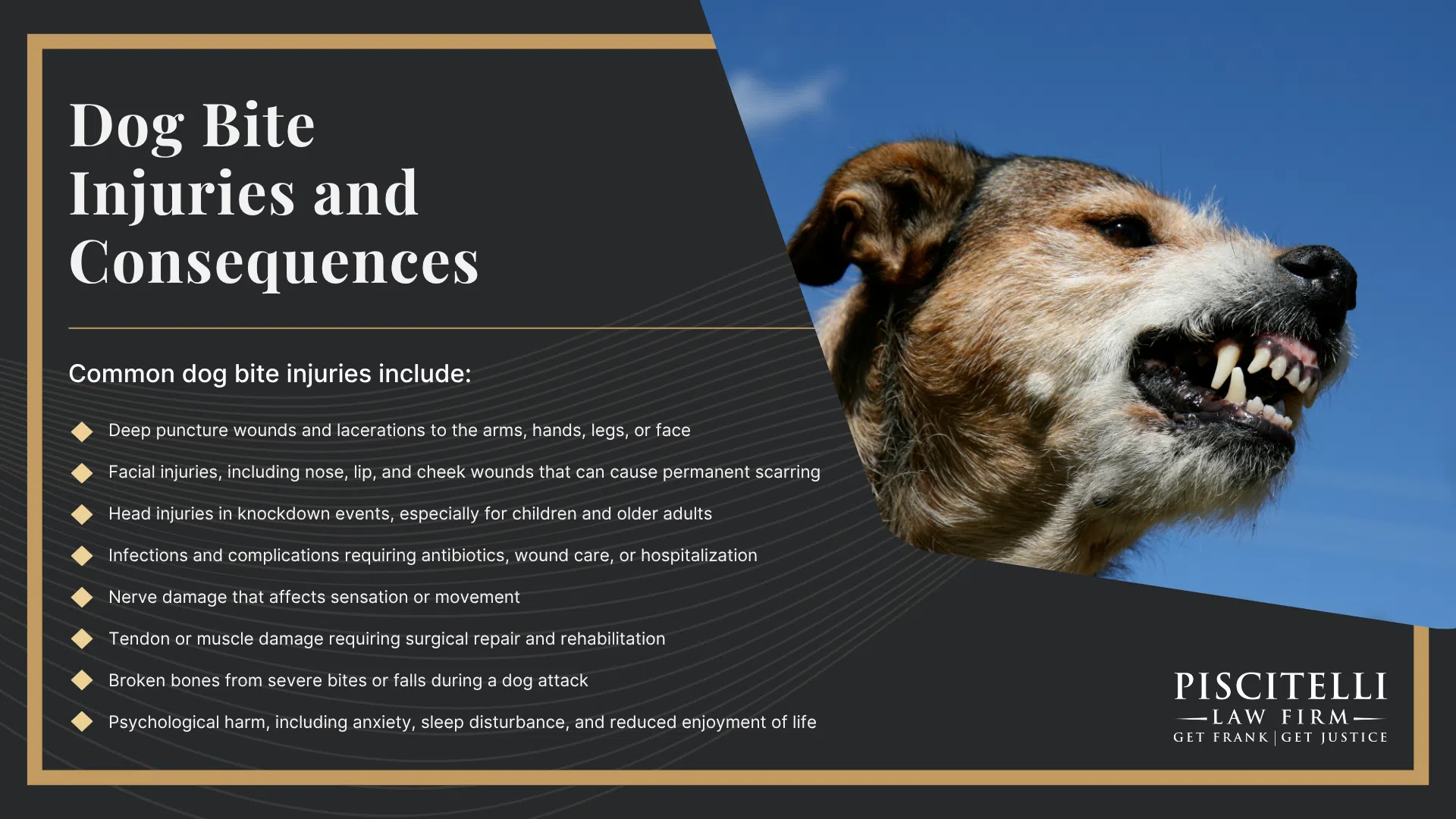Frank Piscitelli_ Experienced Ohio Dog Bite Lawyer; How Much Does it Cost to Hire a Dog Bite Lawyer; How A Dog Bite Lawyer Can Assist You; Types of Dog Bite Cases We Handle; Ohio Dog Bite Laws and Regulations; The Legal Process For Dog Bite Lawsuits In Ohio; Dog Bite Injuries and Consequences