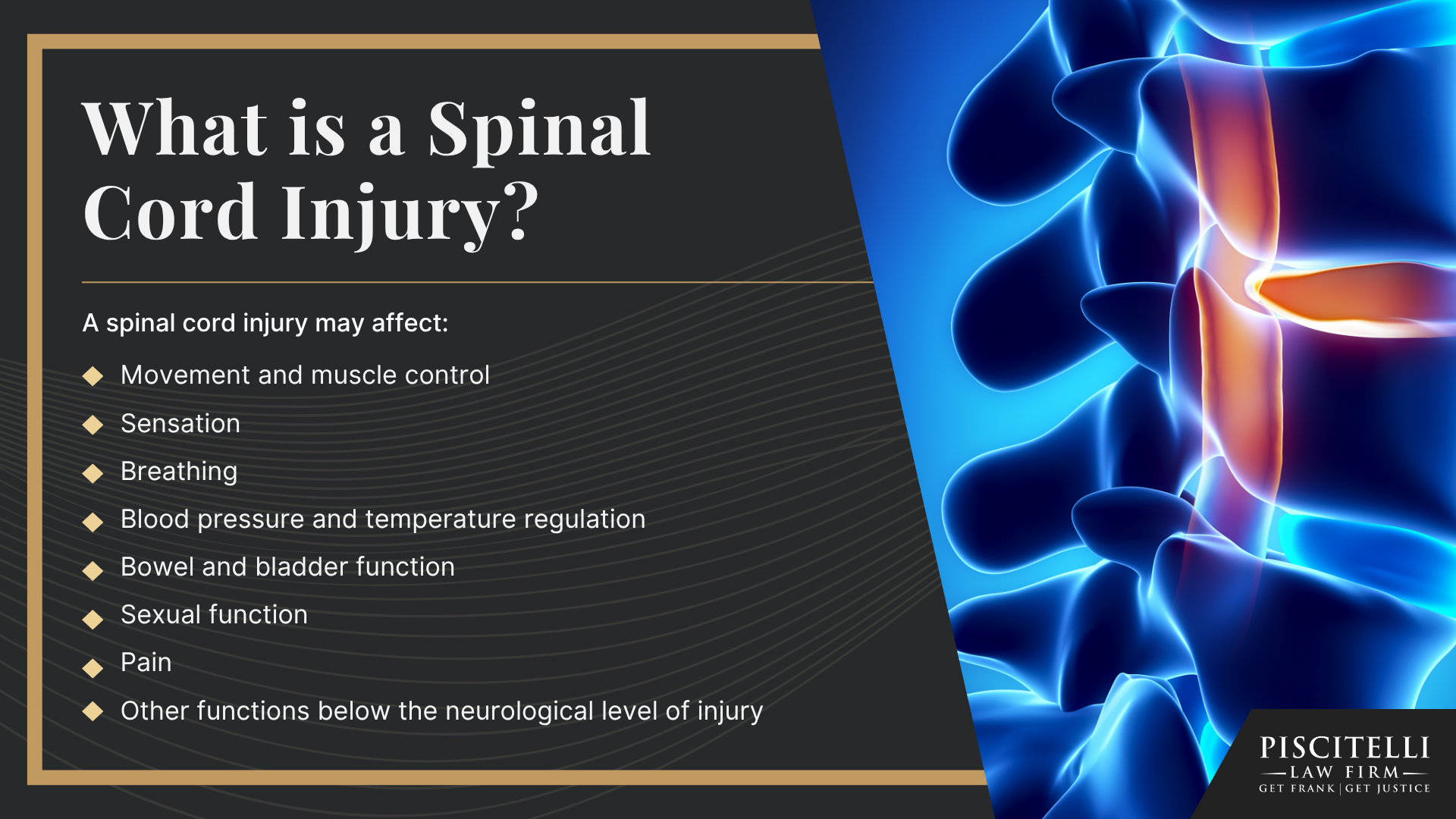 What is a Spinal Cord Injury