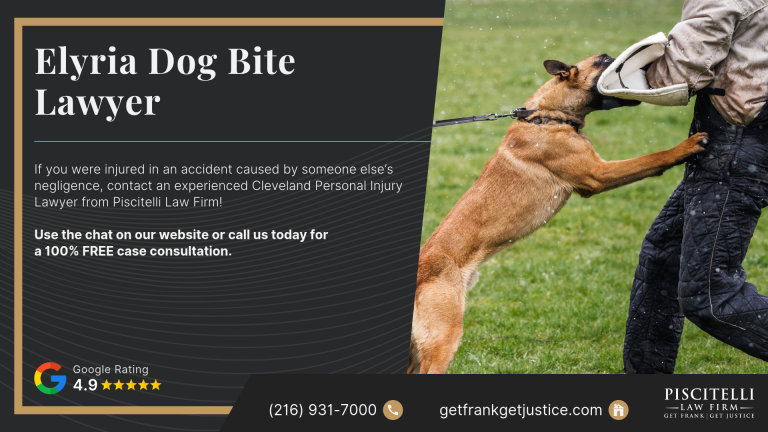 Elyria Dog Bite Lawyer